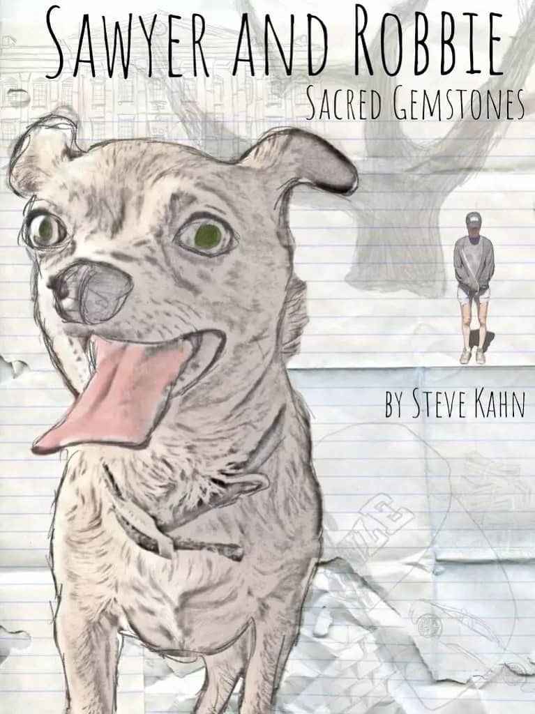 Sawyer And Robbie book cover